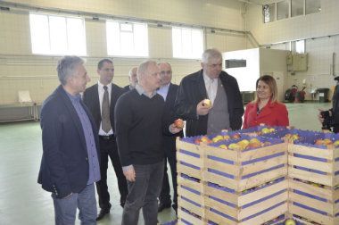 Vesić: Grad će pomoći razvoj porodičnih firmi 1