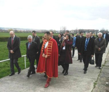 Ljubičevska ergela interesantna Alžircima 1