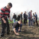 Pomoć dnevnom centru 4