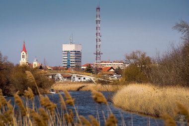 Stižu nove sadnice 1