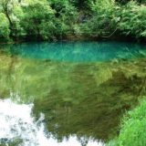 Ubijene ili podmetnute pastrmke u Mlavi 8