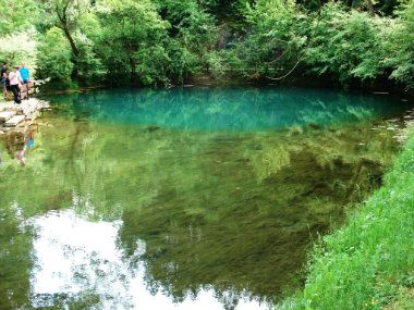 Ubijene ili podmetnute pastrmke u Mlavi 1