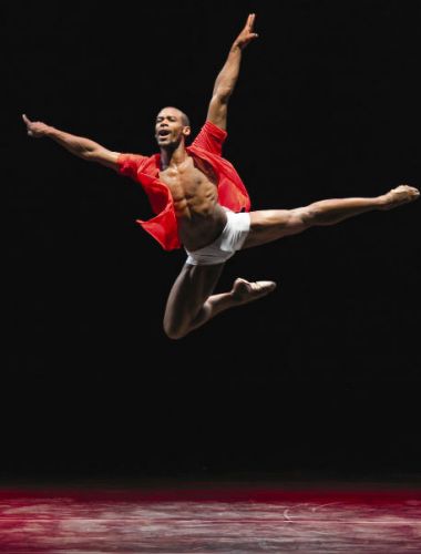 Savršena tela čine savršene stvari 1