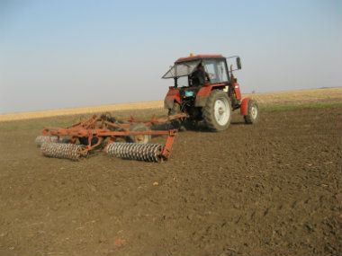 Vojvođanski usevi u dobroj kondiciji 1