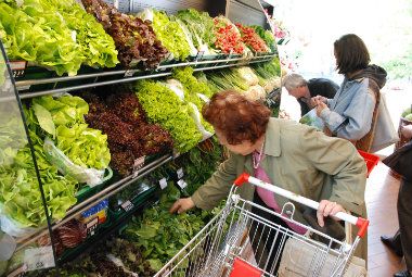 Rublja pomrsila račune srpskih izvoznika 1