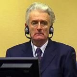 Hag pod "opsadom" zbog presude Karadžiću 8