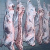 Iz Kragujevca u Kinu 50.000 tona junetine godišnje 2