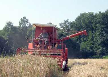 Vojvodini potrebno više stručnjaka za privlačenje investicija 1