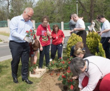 Renoviraju se objekti u Rakovici i na Čukarici 1 Renoviraju se objekti u Rakovici i na Čukarici 1