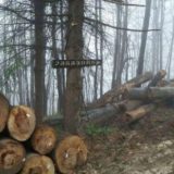 "Drvosek" ili planski rad 15