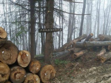 "Drvosek" ili planski rad 1