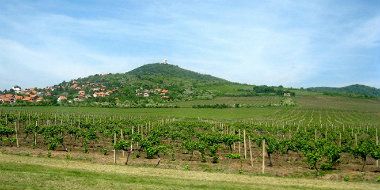 Vrednost preduzeća je potcenjena 1