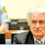 Za Radovana Karadžića konkuriše 17 država 12