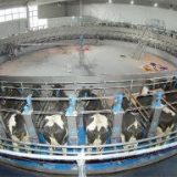 Postajemo taoci velikih svetskih korporacija 10