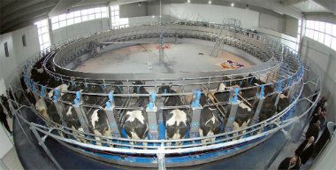 Postajemo taoci velikih svetskih korporacija 1