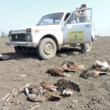 Samo kazne sprečavaju trovače 9