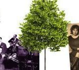 Jevremova - ulica susreta 4