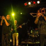 Irie FM brane rege boje u Božidarcu 4