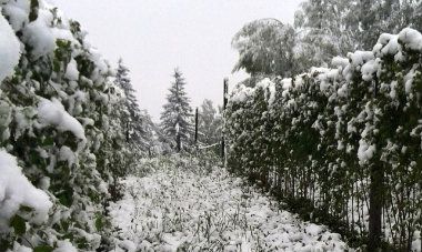 U sjeničkoj opštini desetak sela u snežnoj blokadi 1