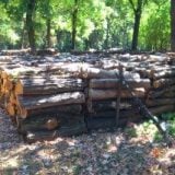 Zbog čega se sad beleži nagli skok cena ogrevnog drveta u Vranju 2