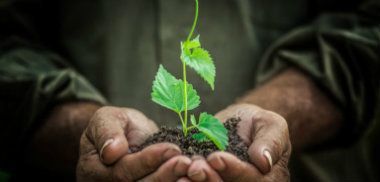 Biti zahvalan u nezahvalnim vremenima 1