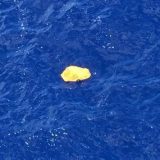 Teroristička akcija verovatni uzrok 14