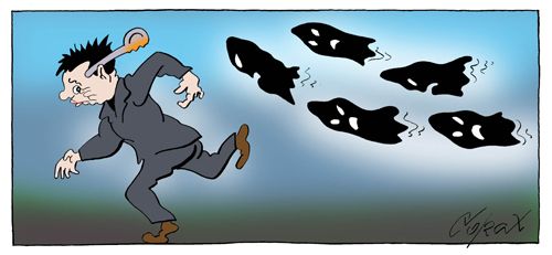 Corax 12