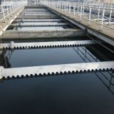 Zelena politika kao isplativ biznis 5