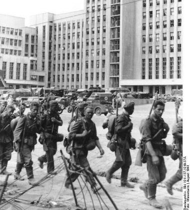 Skrivanje po rupama za krompir 1