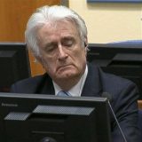 Karadžić traži još 90 dana 9
