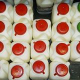 Danas počinje izvoz mlečnih proizvoda u Rusiju 6