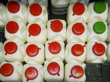 Danas počinje izvoz mlečnih proizvoda u Rusiju 1