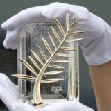 Počeo 69. Kanski festival 9