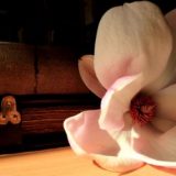 Šabac prednjači po sredstvima za Noć muzeja 10