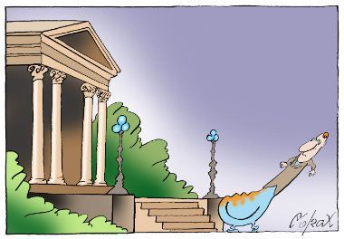 Corax 10