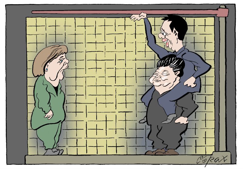 Corax 8