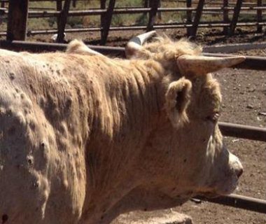 Vakcina iz EU stiže naredne nedelje 1 Vakcina iz EU stiže naredne nedelje 1