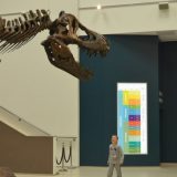 U "Parku iz doba Jure" obogaćen sadržaj 4