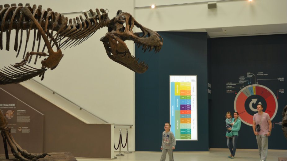 U "Parku iz doba Jure" obogaćen sadržaj 1 U "Parku iz doba Jure" obogaćen sadržaj 1