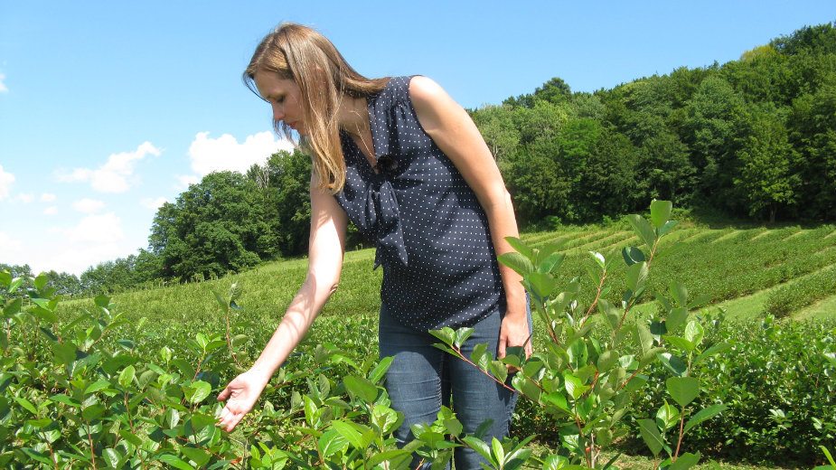 Teško do subvencija, lako do kupaca 1 Teško do subvencija, lako do kupaca 1