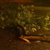 Snažna oluja sinoć u Beogradu 3