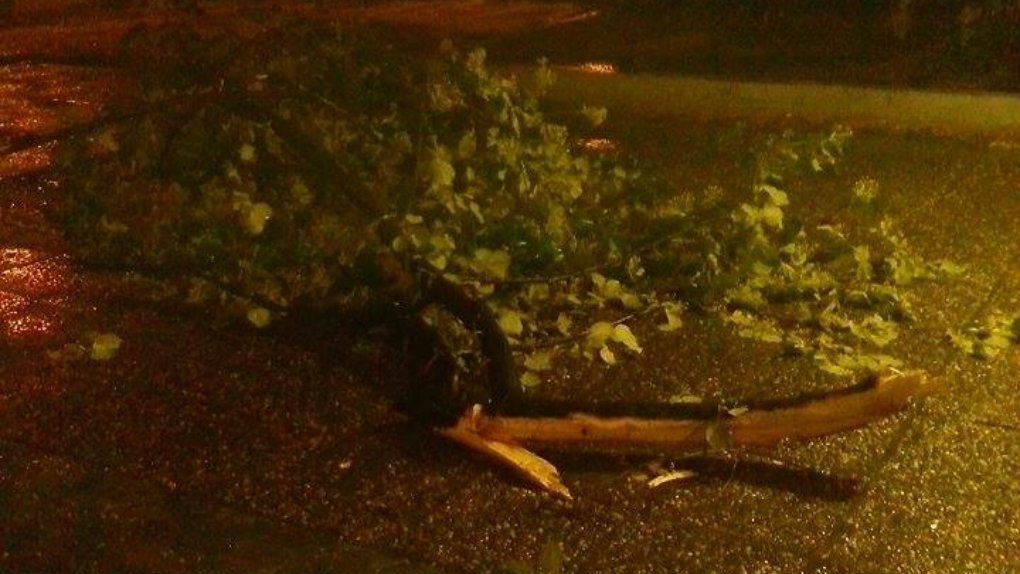 Snažna oluja sinoć u Beogradu 1