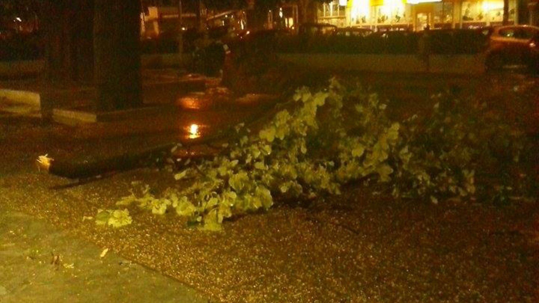 Snažna oluja sinoć u Beogradu 2