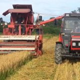 Poljoprivrednici prepušteni nemilosti tržišta 6