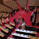 Stamenković: Vladajuća većina zlostavlja ministra Šarčevića 12