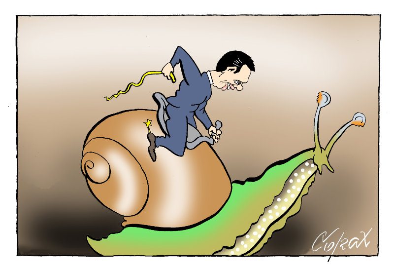 Corax 8
