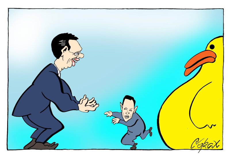 Corax 15