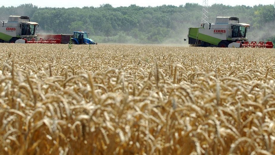 Veliki otkupljivači nekorektno oborili cenu 1
