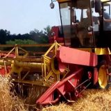 Rodilo i preko 10 tona po hektaru 15