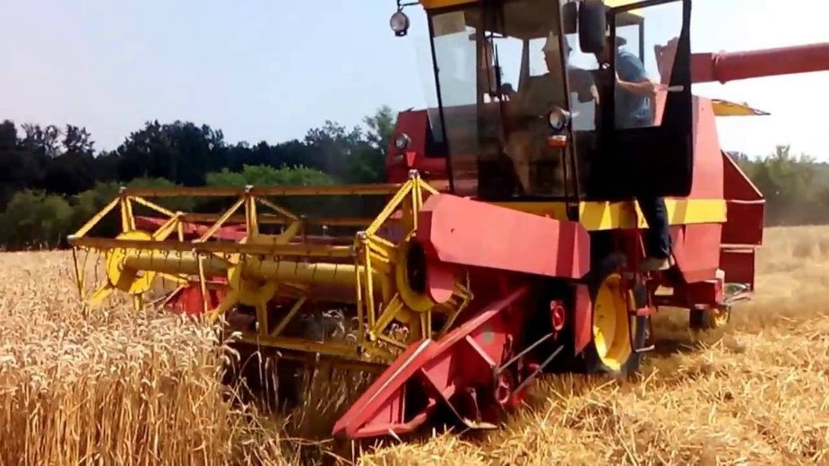 Rodilo i preko 10 tona po hektaru 1